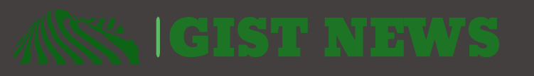 logo 2 gistnews 4